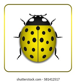 Ladybug small icon. Yellow lady bug sign, isolated on white background. 3d volume design. Cute ladybird. Insect cartoon beetle. Symbol of nature, spring or summer. Vector illustration