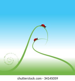 Ladybug, spring background