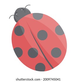ladybug in spring color illustration