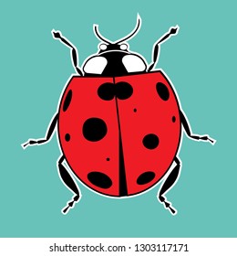 Ladybug sticker decorative vector illustration. Ladybird from above top view. Summer red beetle.