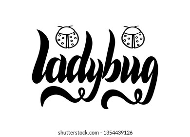 Ladybug text lettering vector