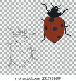 Ladybug thin line and illustration icon on transparent background
