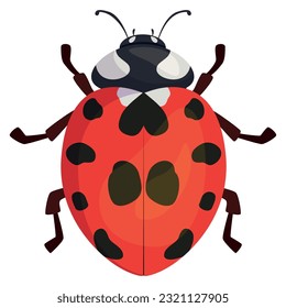 Ladybug top view red cute insect with black spots paws and antenna summer beetle vector flat illustration. Beautiful flying bug natural small wild creature fauna ladybird with dots. Biology character