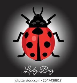 Ladybug top view red cute insect with black spots . Beautiful flying bug natural small wild . Vector Illustration Eps 10 , with black and white gradient background.