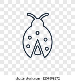 Ladybug toy concept vector linear icon isolated on transparent background, Ladybug toy concept transparency concept in outline style