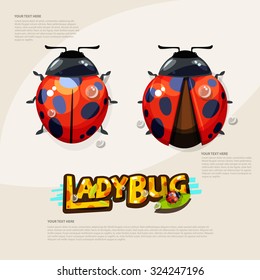 Mariquita con diseño tipográfico. Logotipo. Concepto de insecto - Ilustración vectorial