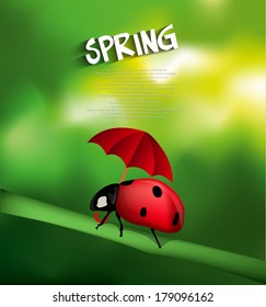 Ladybug with umbrella