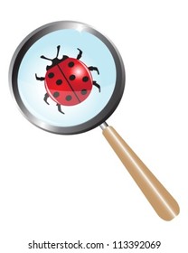 ladybug is under a magnifying glass shining
