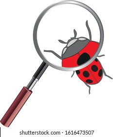 Ladybug under microscope. Ladybird on white background. Cute cartoon ladybug icon.