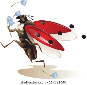 ladybug, Valentine day
