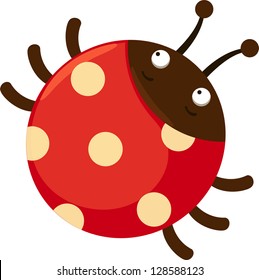 ladybug vector