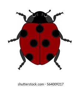 ladybug in vector