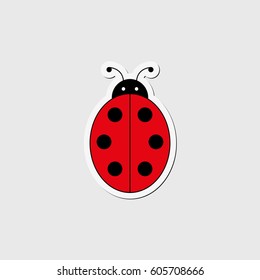 ladybug vector
