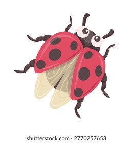 Ladybug vector character with open wings and black spots. Red beetle insect illustration isolated on white. Graphic element for nature and summer designs