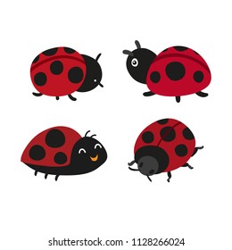 ladybug vector collection design