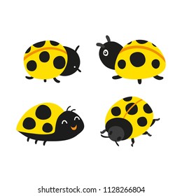 ladybug vector collection design