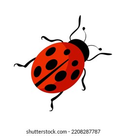 Vector de parásito. Cute ladybug o ladybird diseño plano rojo y negro. Ilustración vectorial aislada en fondo blanco. eps10