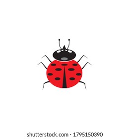 ladybug vector design icon templat
