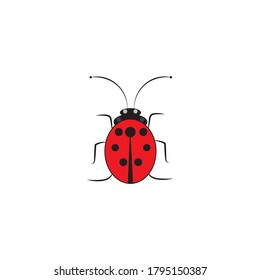 ladybug vector design icon template
