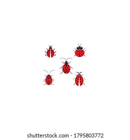 Ladybug vector design ilustration icon templat
