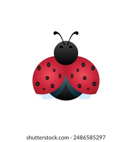 Ladybug vector design isolated on white