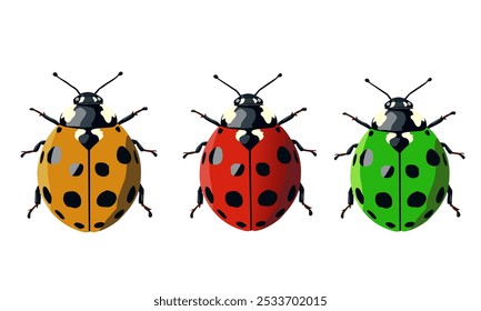ladybug. Vector dotted or polka dot pattern. Let spring begin. ladybug sign represents protection, resistance, luck and prosperity, but also symbol of senseless violence. on white background
