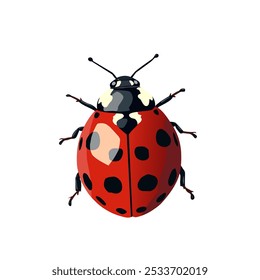 ladybug. Vector dotted or polka dot pattern. Let spring begin. ladybug sign represents protection, resistance, luck and prosperity, but also symbol of senseless violence. on white background