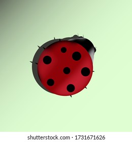 ladybug vector graphic illustration eps 10