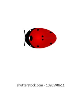 Ladybug vector graphics