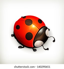 Ladybug vector icon