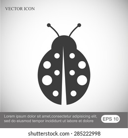ladybug vector icon