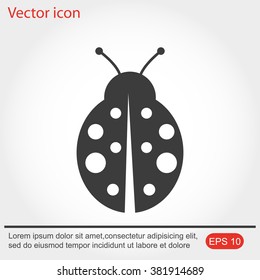 ladybug vector icon