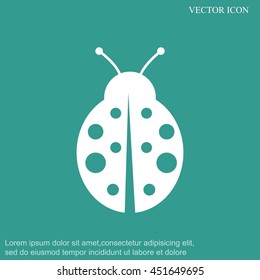 ladybug vector icon
