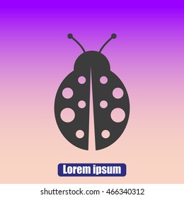 ladybug vector icon