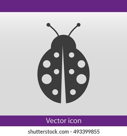 ladybug vector icon