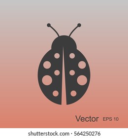 ladybug vector icon