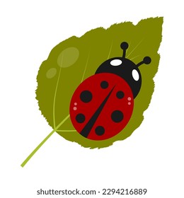 Icono vectorial de cochinilla sobre hoja de planta verde, colorida silueta plana de escarabajo.