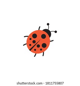 Ladybug vector icon on a white background