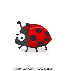 ladybug vector illustration