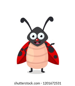 ladybug vector illustration