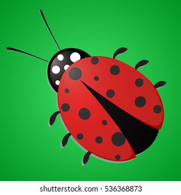 Ladybug. Vector illustration.
