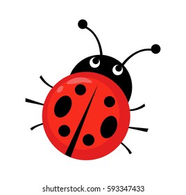 Ladybug vector illustration