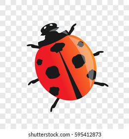 ladybug. vector illustration