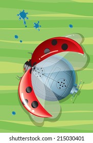 Ladybug - Vector Illustration Art