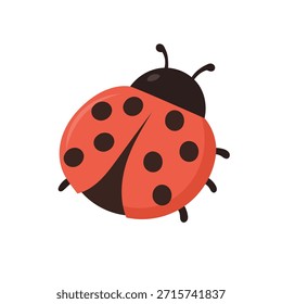 Ilustración vectorial de mariquita roja linda con puntos negros, insecto sonriente de mariquita aislado en el fondo blanco, elemento de la naturaleza de la primavera