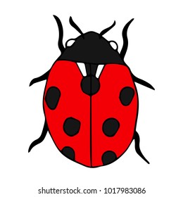 Ladybug vector illustration. Doodle style. Design, print, decor, textile, paper