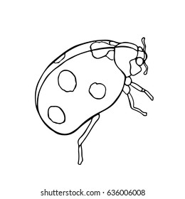 Ladybug  vector illustration. Doodle style. Isolated on white background. Insect. Ladybug. Cloth, print, design, icon, logo, poster, paper, card, invitation, cloth, textile, wrapping, wallpaper.Eps10
