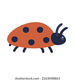 Ladybug. Vector illustration of a funny bug in cartoon style. Isolated on a white background.