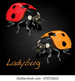 Ladybug vector illustration isolated