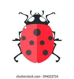 Ladybug. Vector illustration of a lady beetle. Isolated on a white background.